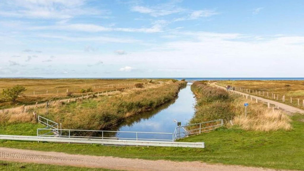 AreaSummer20KM AreaSummer20KM